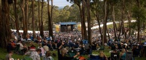 centennial-vinyards-bowral music in the vineyard